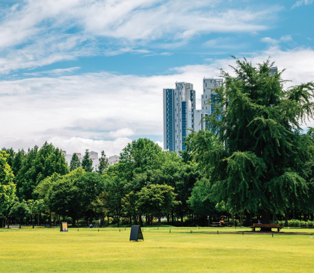Hutan Seoul adalah taman kota berskala besar, tempat Anda dapat menghirup udara segar di alam terbuka di pusat kota.