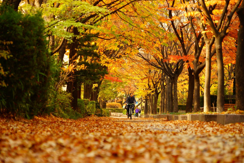 Jalan yang berada di Mokdong Unit 9, Yangcheon-gu, Kota Seoul. 