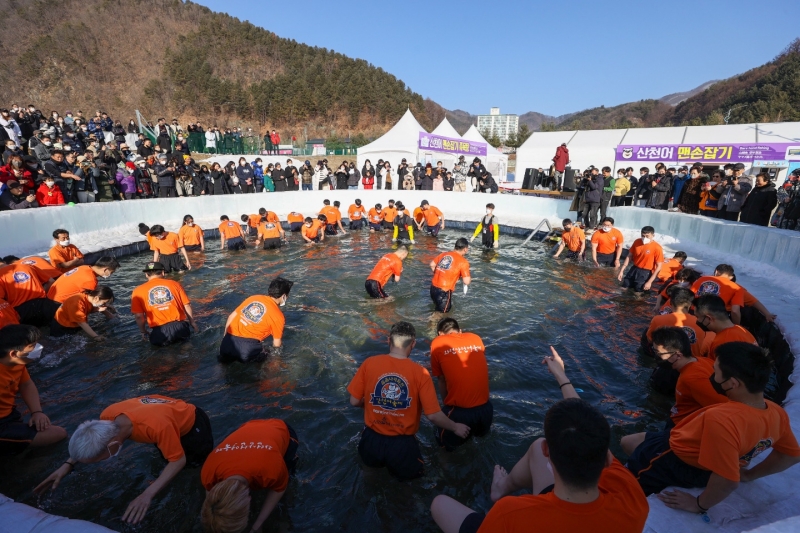 Para wisatawan sedang mencoba menangkap sancheoneo, ikan trout yang hidup di pegunungan, dengan tangan polos pada tanggal 9 Januari di Festival Sancheoneo Hwacheon 2023 yang diadakan di Hwacheon-cheon, Hwacheon-eup, Hwacheon-gun, Gangwon-do. (Kim Sunjoo)