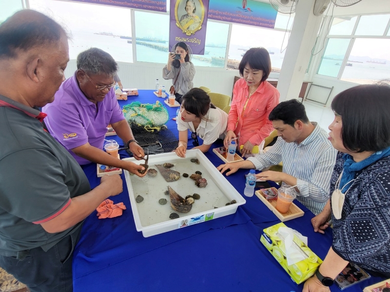 Haenyeo Korea bertemu dengan penyelam pria Thailand saat mengunjungi Sichang Island Marine Animal Banks yang terletak di Koh Sichang, Provinsi Chonburi, Thailand. 