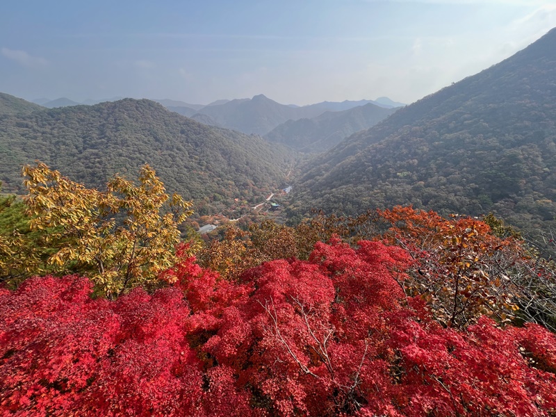 Korea.net mengunjungi Taman Nasional Naejangsan pada tanggal 26 Oktober lalu. Foto di atas menunjukkan pemandangan Naejangsan yang dapat dilihat dari Yeonjadae, sebuah tempat observasi yang berada di Naejangsan. 