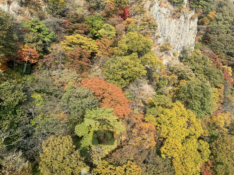 Pemandangan Naejangsan pada tanggal 26 Oktober yang diambil dari atas kereta gantung yang melintasi Taman Nasional Naejangsan. 