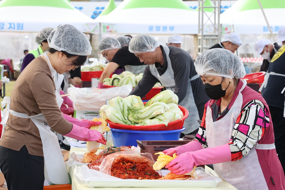 Para peserta terlihat sedang membalurkan bumbu kimci pada sawi putih di tengah Festival Gimjang Goesan tahun 2023 yang digelar pada tanggal 3 November lalu di Goesan-gun, Provinsi Chungcheongbuk. (Pemerintah Goesan-gun)