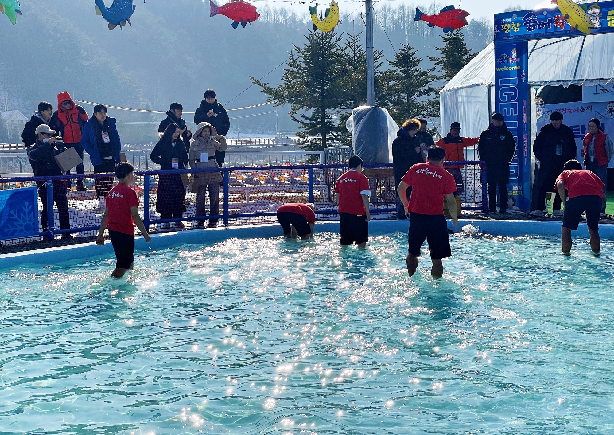 Pyeongchang Trout Festival akan digelar hingga tanggal 28 Januari di wilayah Sungai Odae-cheon, Pyeongchang-gun, Provinsi Gangwon. Foto di atas menunjukkan para wisatawan yang sedang menangkap ikan trout dengan tangan kosong. 