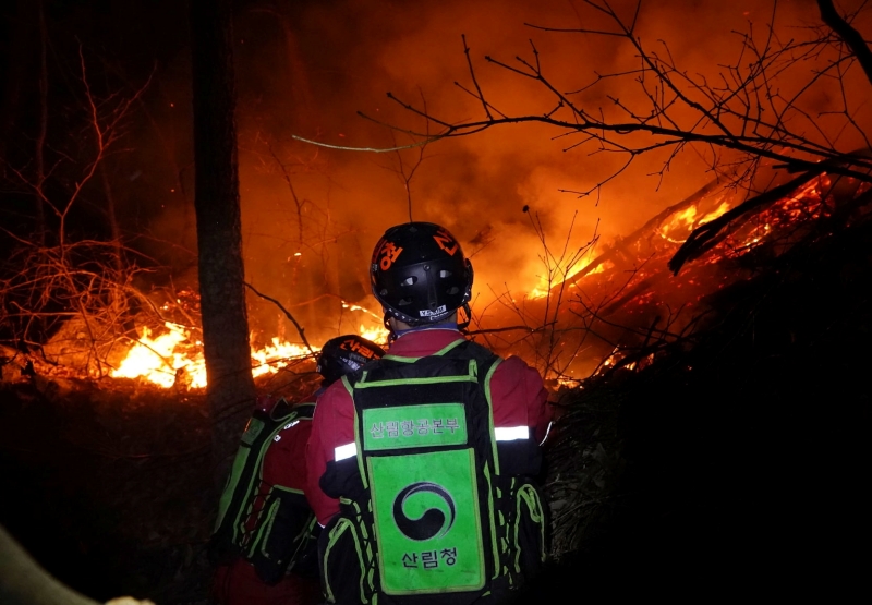 Dinas Kehutanan Korea memperkenalkan STEP-UP tahun ini untuk membantu memadamkan kebakaran hutan. STEP-UP adalah robot yang bisa dikenakan di badan untuk membantu memadamkan kebakaran hutan. (Dinas Kehutanan Korea) 