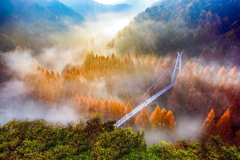 Pemandangan Hutan Rekreasi Jangtaesan.  (Foto Organisasi Pariwisata Korea oleh Lee Beom-soo)