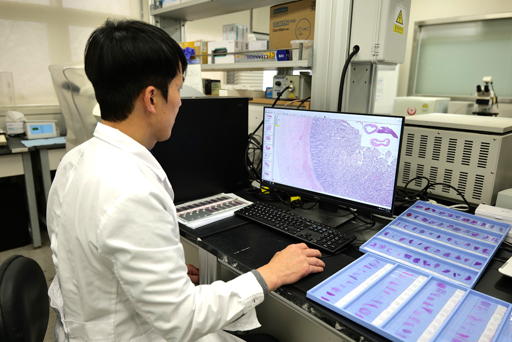 Institut Penelitian untuk Kesehatan Masyarakat dan Lingkungan Kota Seoul terlihat sedang melakukan pemeriksaan forensik hewan. (Pemerintah Kota Seoul)  