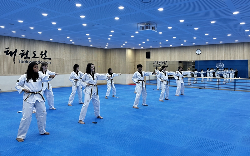 Sembilan orang pegiat halyu terlihat sedang mempelajari gerakan dasar taekwondo pada tanggal 7 Januari 2025 di Taekwondowon, Muju-gun, Provinsi Jeollabuk. (Margareth Theresia)  