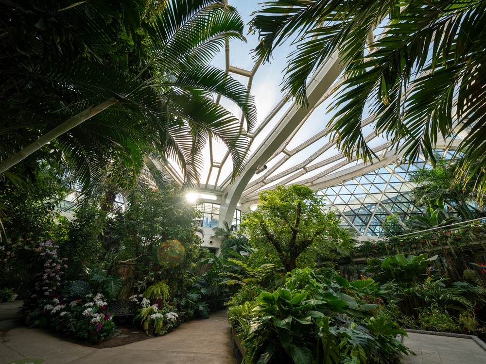 Pengunjung Kebun Botani Seoul dapat menikmati keindahan dedaunan hijau sepanjang tahun karena kebun ini terletak di dalam rumah kaca. (KTO) 