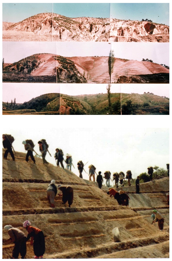 Foto di atas menunjukkan proses reboisasi Pelabuhan Yeongilman, Kota Pohang, Provinsi Gyeongsangbuk selama tahun 1973-1977.
