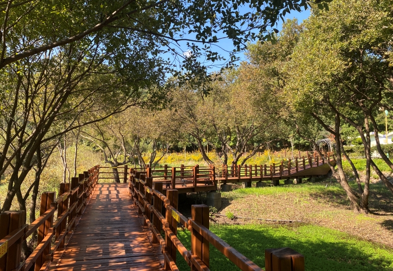 Cakupan wilayah layanan Kartu Identitas Wisatawan Digital akan diperluas mulai bulan April 2025. Foto di atas menunjukkan panorama Taman Ekologi Hampyeong yang merupakan salah satu tempat wisata yang tercakup dalam layanan Kartu Identitas Wisatawan Digital. (laman resmi Taman Ekologi Hampyeong)  