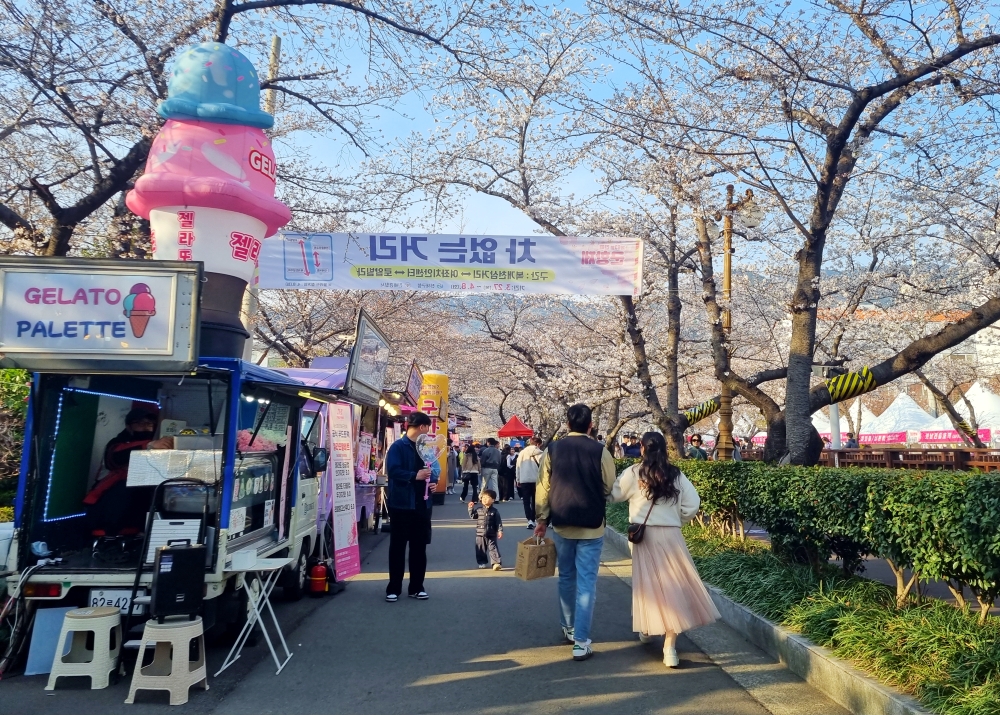  Para wisatawan terlihat memenuhi Festival Bunga Ceri Jinhae pada tanggal 31 Maret 2025 di Jinhae-gu, Kota Changwon, Provinsi Gyeongsangnam.  