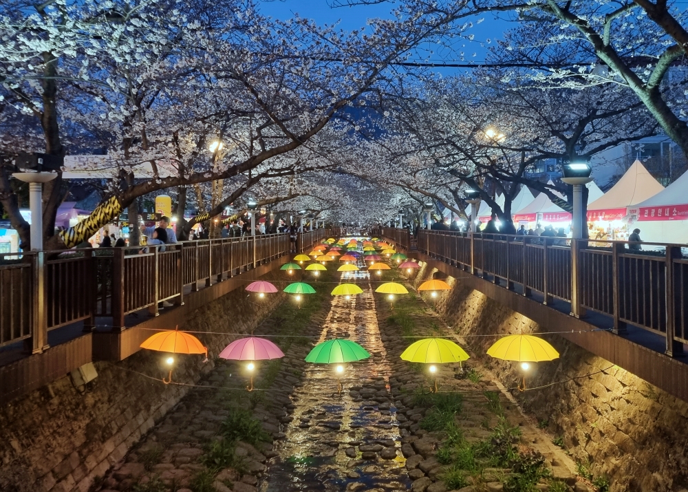 Foto di atas menujnukkan panorama Sungai Yeojwacheon pada malam hari.  