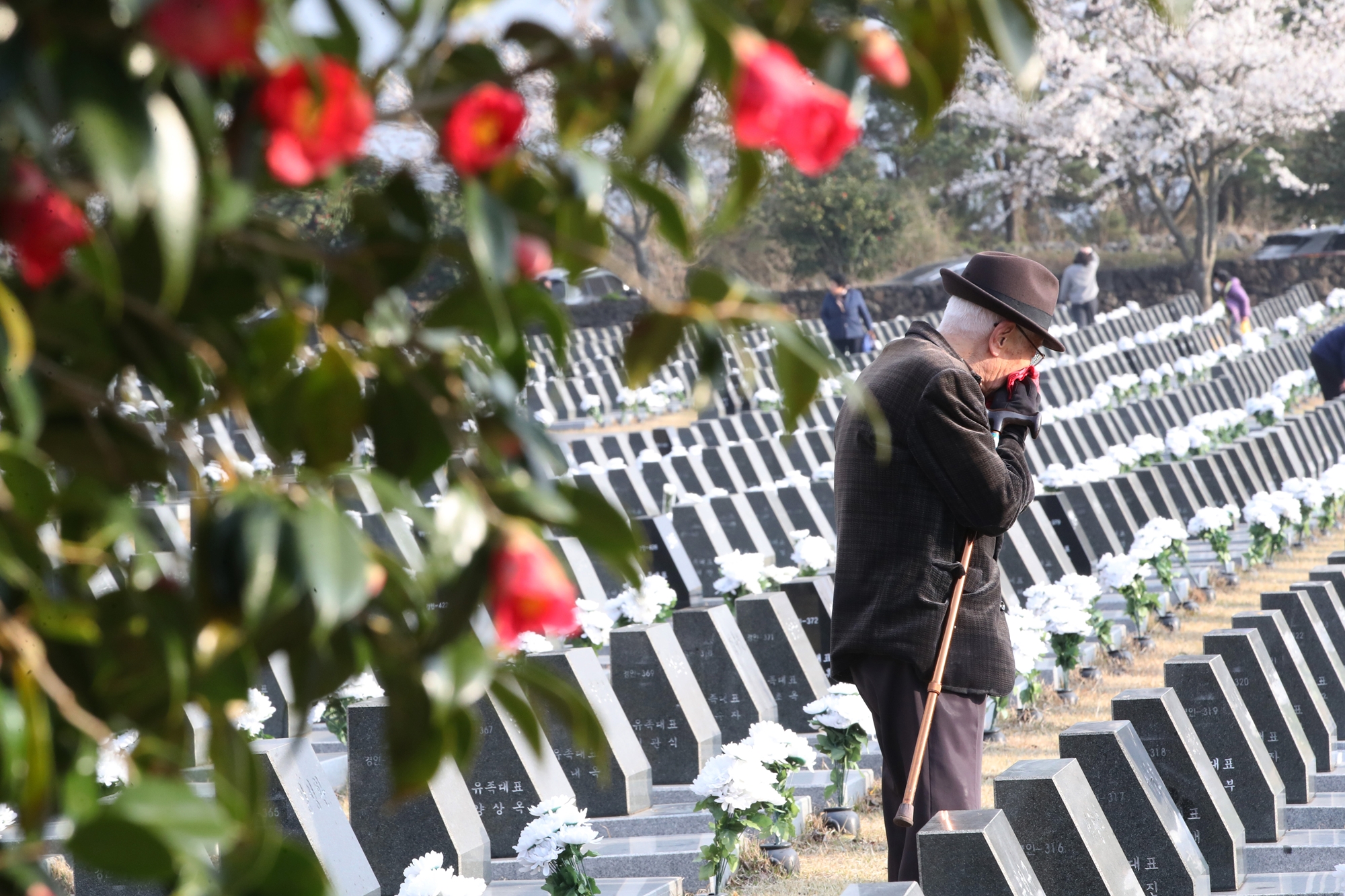 Mengungkap Kebenaran: Arsip Jeju 4·3 resmi masuk ke dalam Daftar Memori Dunia UNESCO. Foto di atas menunjukkan seorang anggota keluarga korban Insiden Jeju yang sedang mengunjungi nisan pada tanggal 3 April 2025 di Taman Perdamaian 4.3 Jeju, Bonggae-dong, Kota Jeju. (Yonhap News)  