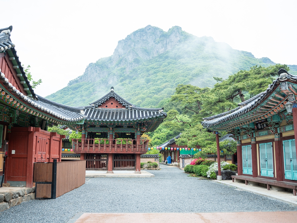 Kuil Baegyangsa terletak di sebelah selatan Gunung Naejangsan yang terkenal dengan keindahan dedaunan musim gugurnya. Kuil ini dibangun pada abad ketujuh saat agama Buddha sedang diajarkan secara meluas di Semenanjung Korea.  