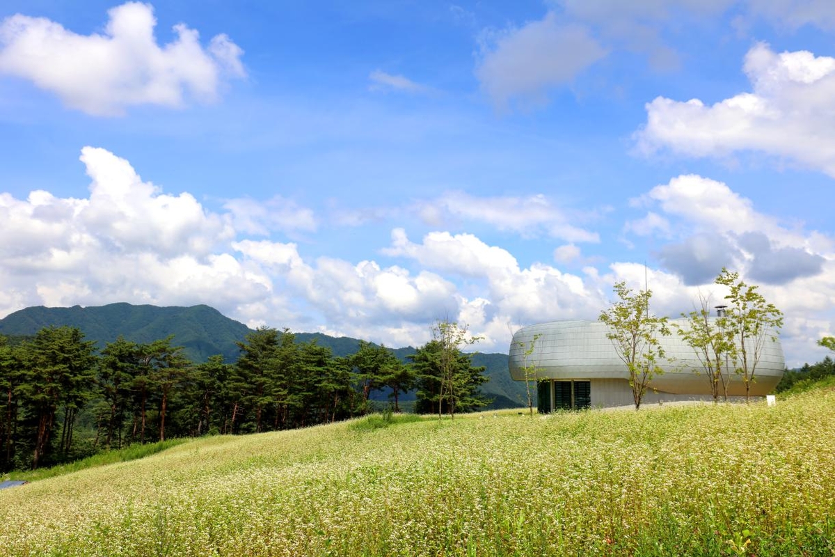 Korea Arboretum and Garden Institute (KOAGI) pada tanggal 22 September 2025 mengumumkan telah menetapkan 20 lembaga pertama yang akan berpartisipasi dalam proyek kerja sama internasional Global Seed Conservation Grants Program (GSC Grants Program) yang dilaksanakan bersama Botanic Gardens Conservation International (BGCI) selama tiga tahun. Pemandangan Gudang Benih Global Baekdudaegan yang terletak di Bonghwa-gun, Provinsi Gyeongsangbuk. (Korea Arboreta and Gardens Institute)