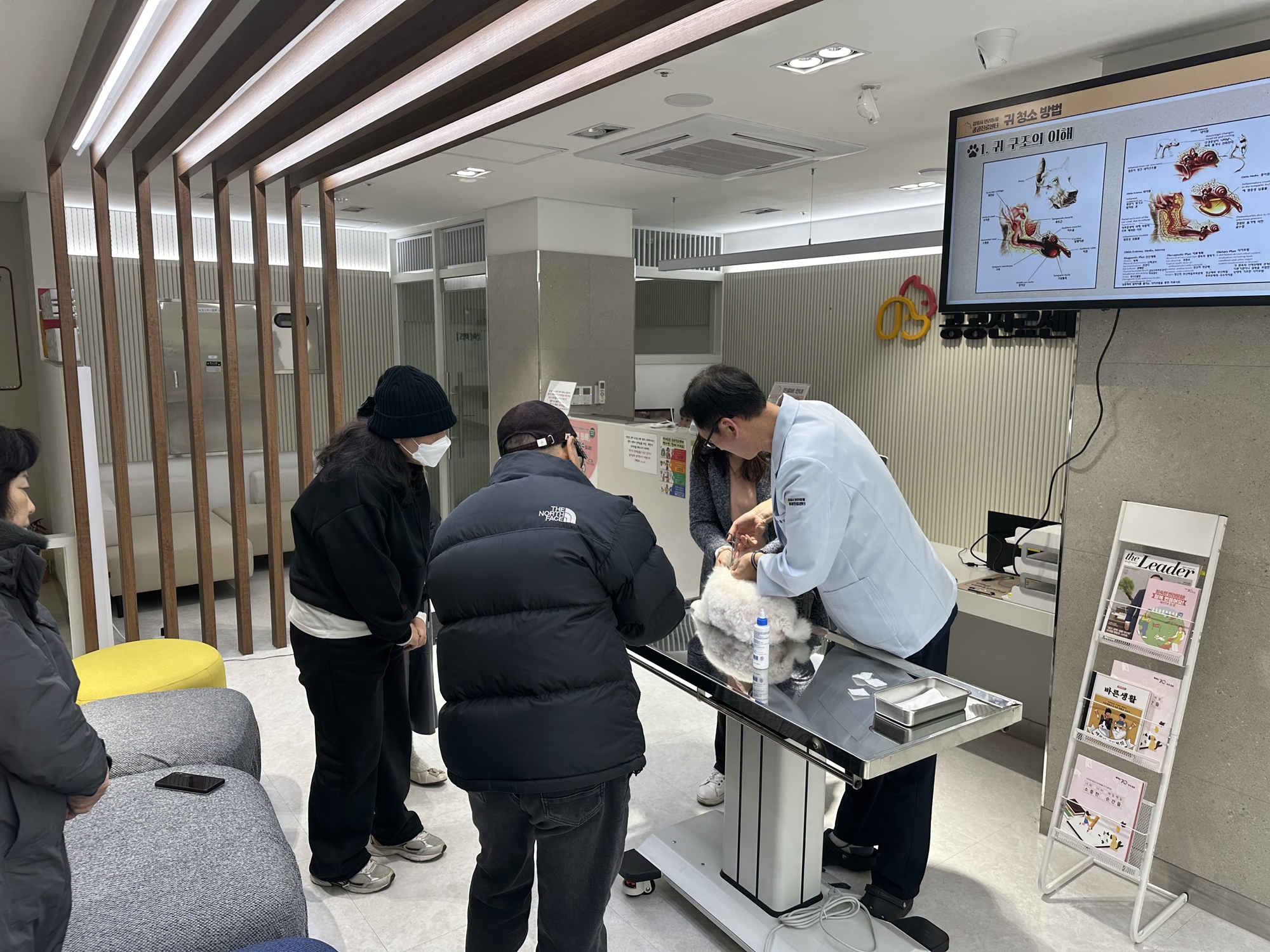 Pemerintah Kota Gimpo mengungkapkan pada tanggal 2 April 2026 bahwa adopsi hewan terlantar akan ditingkatkan dengan menggunakan Pusat Layanan Medis Publik untuk Hewan Peliharaan. Foto di atas menunjukkan seekor hewan yang sedang diperiksa di Pusat Layanan Medis Publik untuk Hewan Peliharaan di Kota Gimpo, Provinsi Gyeonggi. (Pusat Layanan Medis Publik untuk Hewan Peliharaan Kota Gimpo)