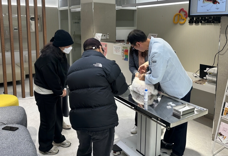 Seekor hewan terlihat diperiksa di Pusat Layanan Medis Publik untuk Hewan Peliharaan di Kota Gimpo, Provinsi Gyeonggi. (Pusat Layanan Medis Publik untuk Hewan Peliharaan Kota Gimpo)