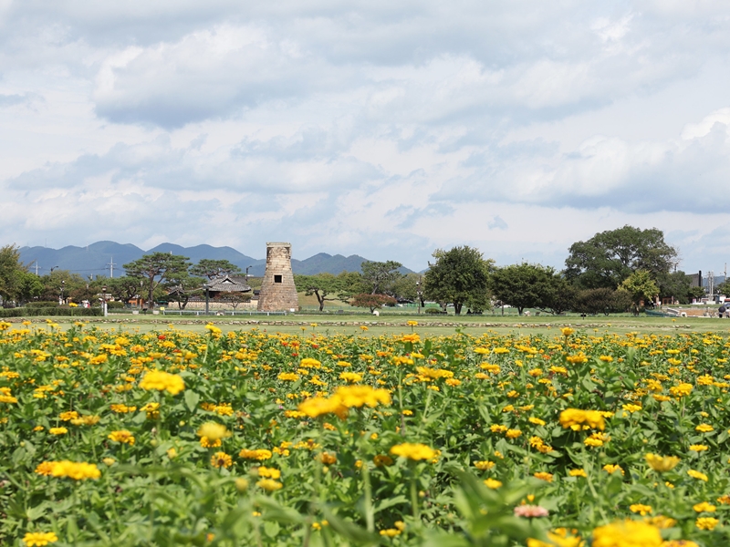 Foto di atas menunjukkan Observatorium Cheomseongdae di Gyeongju. (Park Daejin)