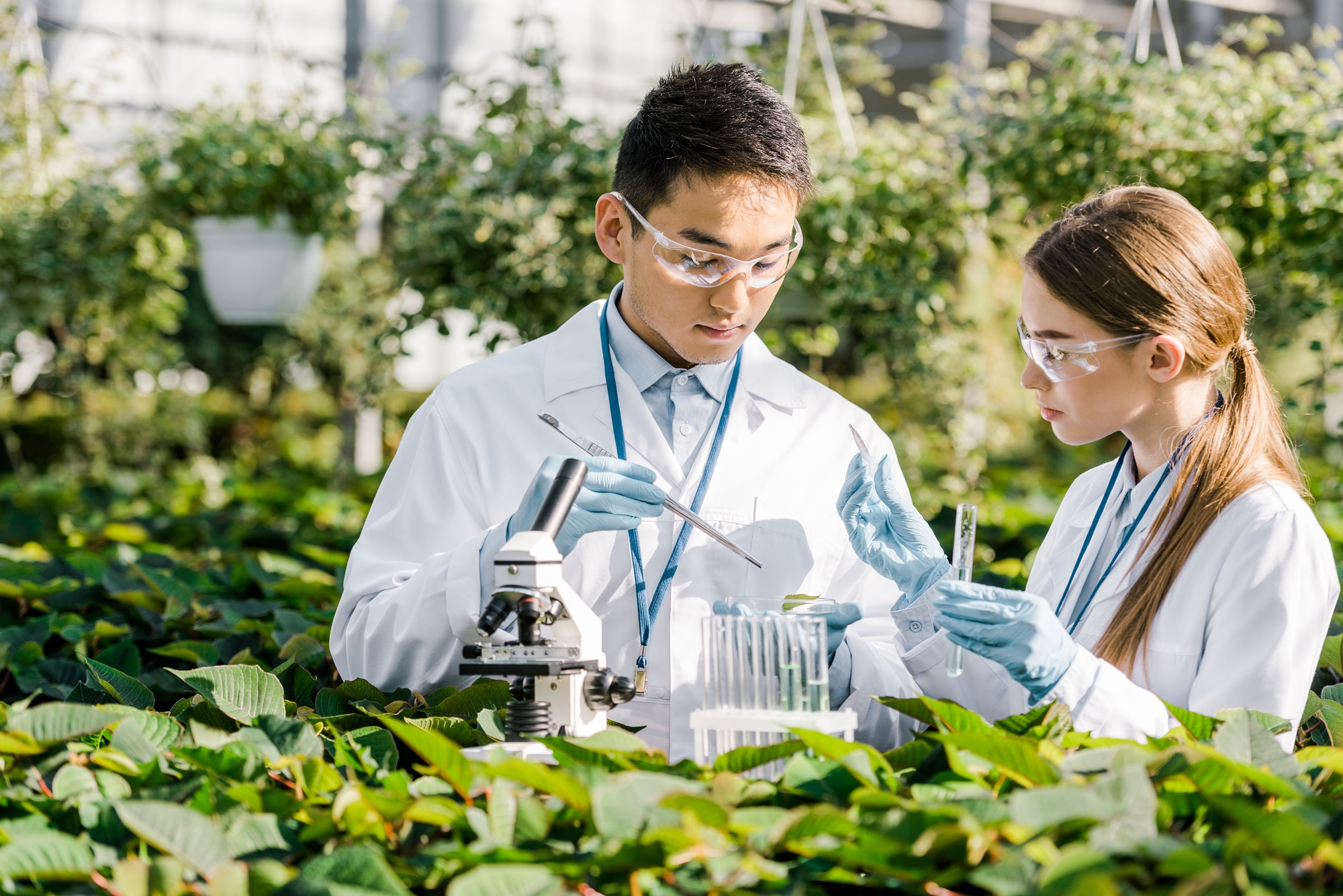 Program K-Tech Pass menerapkan pendekatan baru berupa penilaian kualitatif serta skema yang terhubung dengan program pemerintah untuk menarik talenta unggul global agar bekerja di Korea.(iClickArt) *Reproduksi dan pendistribusian ulang foto di atas secara tidak sah dilarang berdasarkan undang-undang hak cipta.