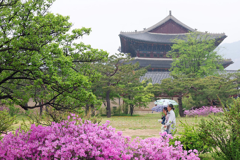 Dua orang wisatawan asing terlihat sedang berjalan kaki di tengah guyuran hujan pada tanggal 20 April 2026 di Istana Gyeongbokgung, Jongno-gu, Seoul. (Korea.net DB)  