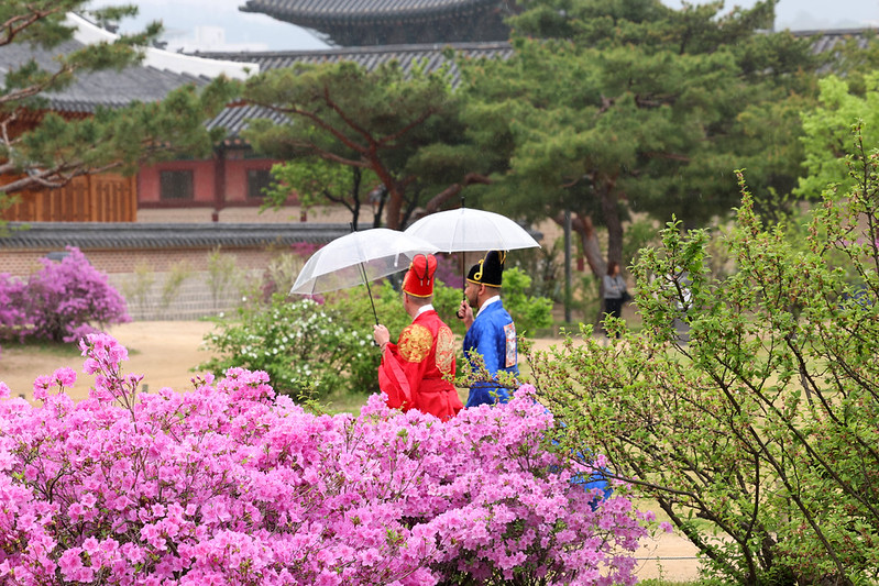 Neraca pariwisata bulanan Korea mempertahankan surplus selama empat bulan berturut-turut. Foto di atas menunjukkan dua orang turis asing yang sedang mengunjungi Istana Gyeongbokgung di Seoul pada tanggal 20 April 2026. (Korea.net DB)