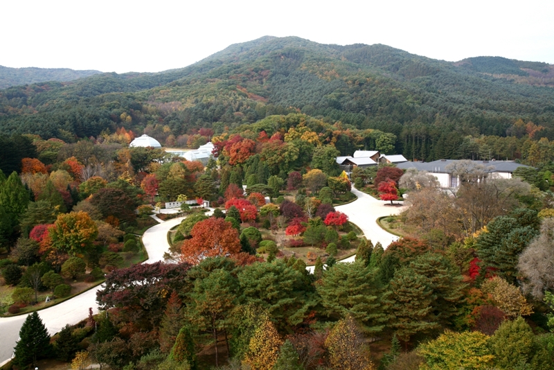 Hutan Gwangneung dan empat hutan rekreasi alam nasional resmi masuk dalam daftar kawasan konservasi internasional setelah nilai keanekaragaman hayatinya diakui. Foto di atas menunjukkan panorama Hutan Gwangneung. (Dinas Kehutanan Korea)