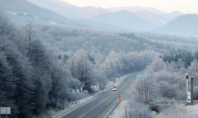 Masih Musim Dingin di Daegwallyeong