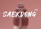 SAEKDONG-A Kombinasi Warna Tradisional Korea