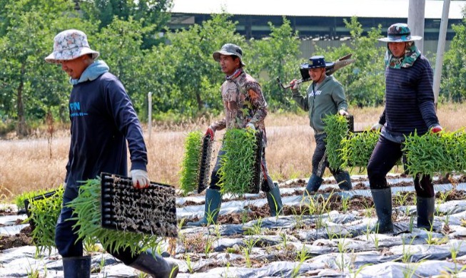 Korea Hapus Kewajiban Pekerja Migran Musiman untuk Bayar Premi Asuransi Perawatan Jan...