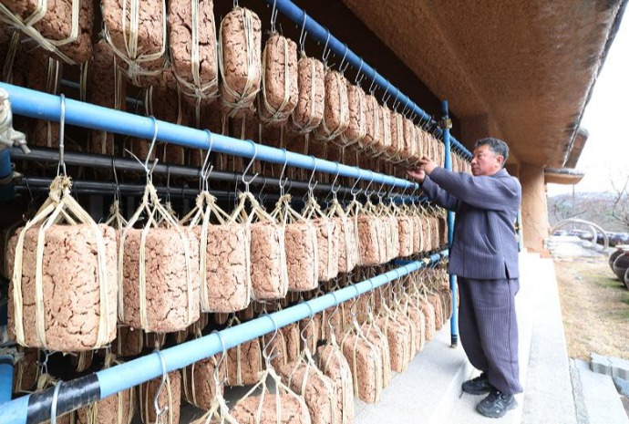 Fermentasi Kedelai dengan Angin dan Cahaya Matahari