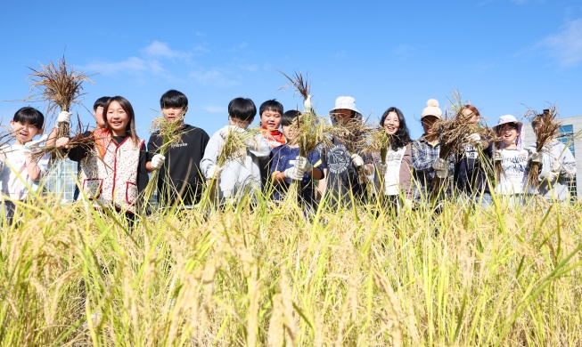 Menuai Padi Sambil Bernyanyi di Museum Pertanian Nasional Korea