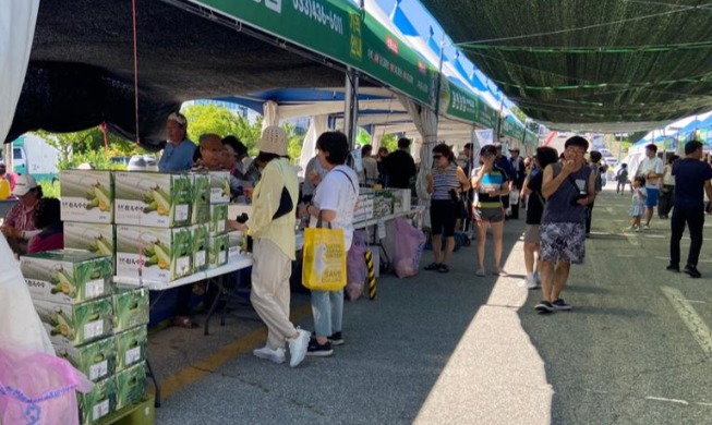Festival Jagung Pulut Hongcheon