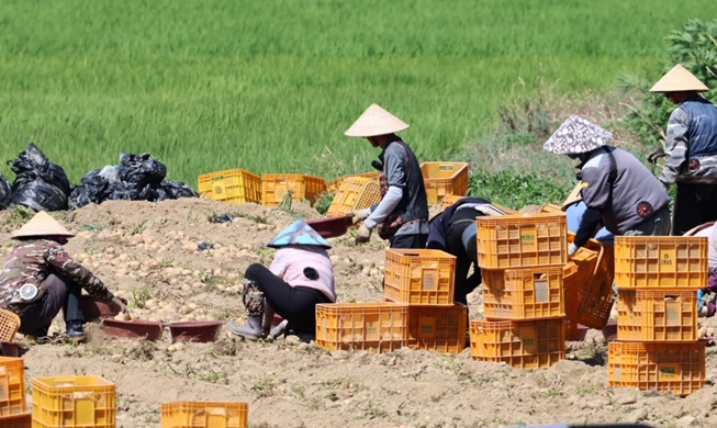 Pemerintah Korea Dorong Pencegahan Pelanggaran HAM Pekerja Asing