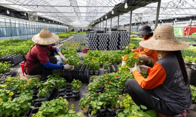 Korea Akan Perkuat Perlindungan Hak-hak Asasi Tenaga Kerja Asing di Korea
