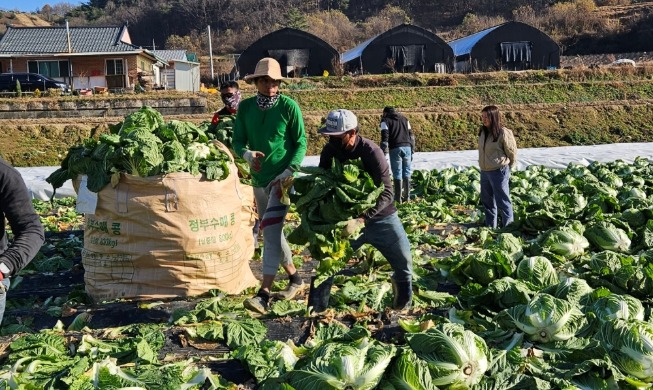 Beban Iuran Asuransi Perawatan Jangka Panjang bagi Pekerja Musiman Asing Dikurangi