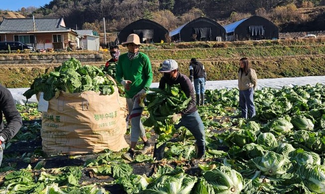 Korea Umumkan Kuota Visa Tenaga Kerja Asing Nonprofesional Tahun 2026