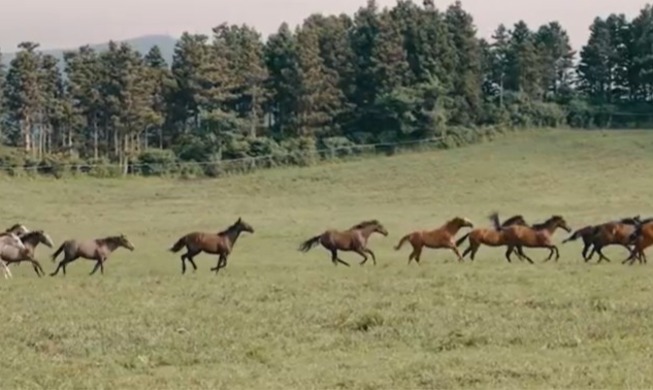 Beragam Sosok Kuda dalam Budaya Korea untuk Sambut Tahun Kuda Api