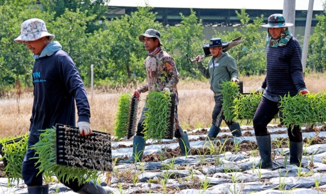 Korea Inspeksi Tempat Kerja dan Asrama Pekerja Migran