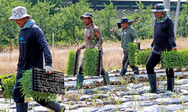 Kilas Balik Kebijakan Pemerintah Korea untuk Penduduk Asing di Tahun 2025