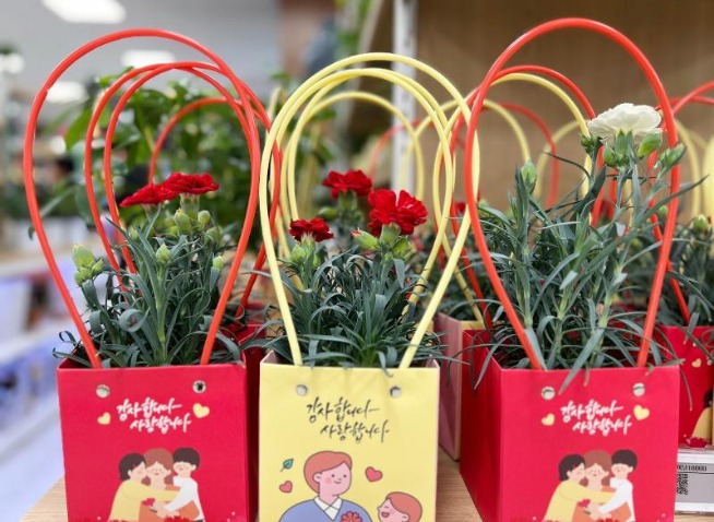 Bulan Penuh Kasih di Korea: Perayaan Hari Anak dan Hari Orang Tua di Bulan Mei