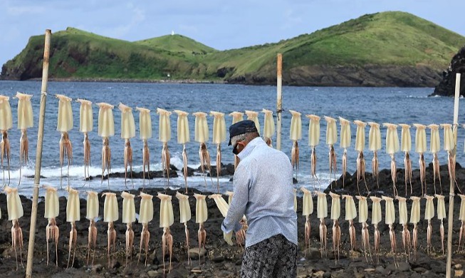 Cumi-cumi Yang Dikeringkan dengan Angin Laut