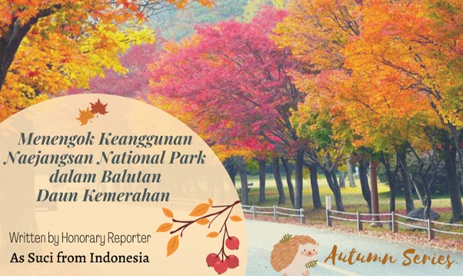 Autumn Series: Menengok Keanggunan Taman Nasional Naejangsan dalam Balutan Daun Kemerahan