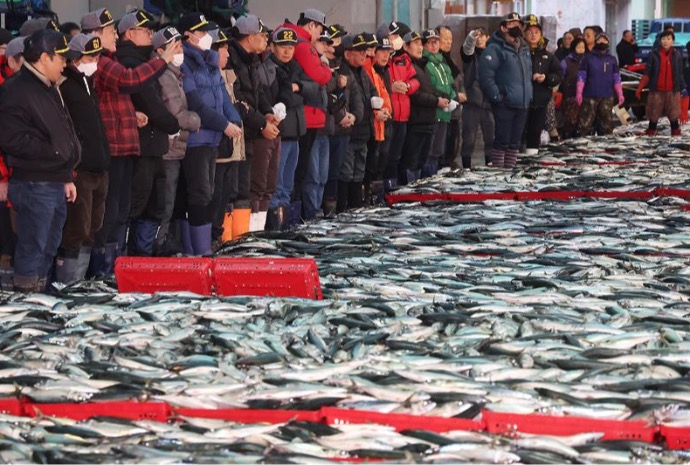 Lelang Pertama Tahun 2025 di Pasar Ikan Koperasi Busan