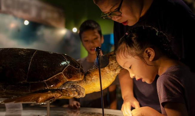 Pameran Museum dan Galeri Seni Pertama Dibuka 24 Oktober 2024 di Busan