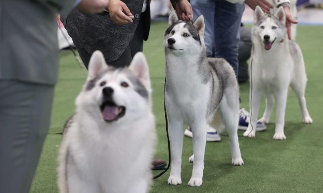 Penyelenggaraan Korea Premier Dog Show