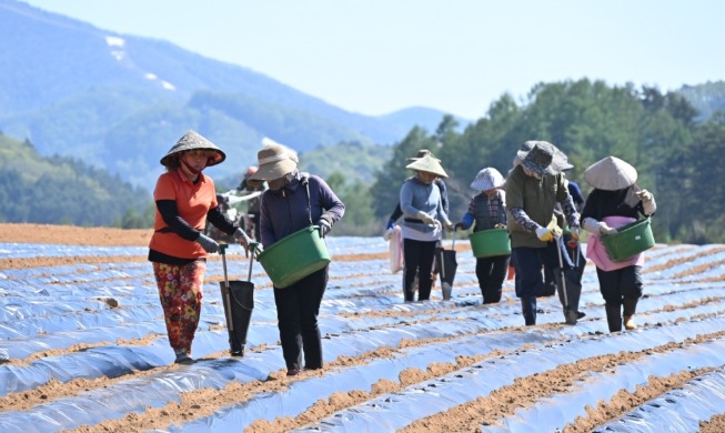 Pemerintah Korea Pastikan Pekerja Asing dengan Gaji Tertunda Tidak Dideportasi