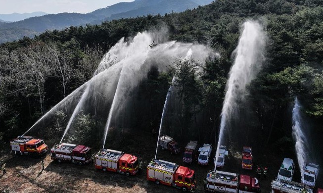 Pelatihan Pengendalian Bencana Kebakaran Hutan