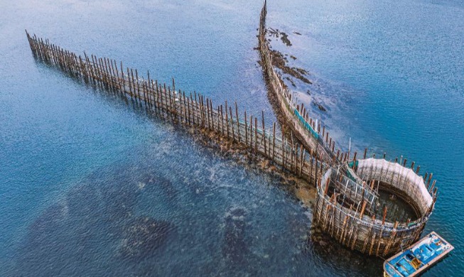 Empat Sistem Pertanian dan Perikanan Korea Resmi Ditetapkan Sebagai Warisan Global