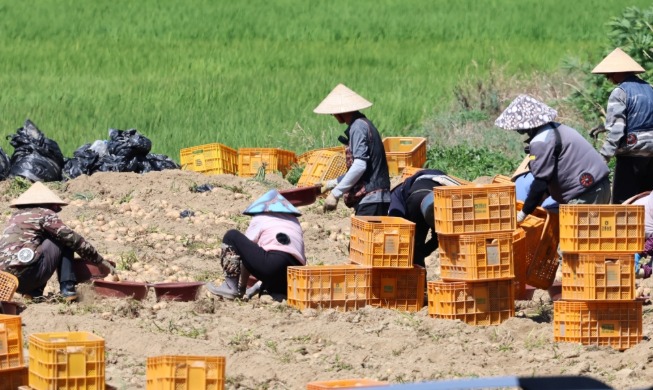 Korea Permudah Pekerja Migran untuk Ganti Tempat Kerja